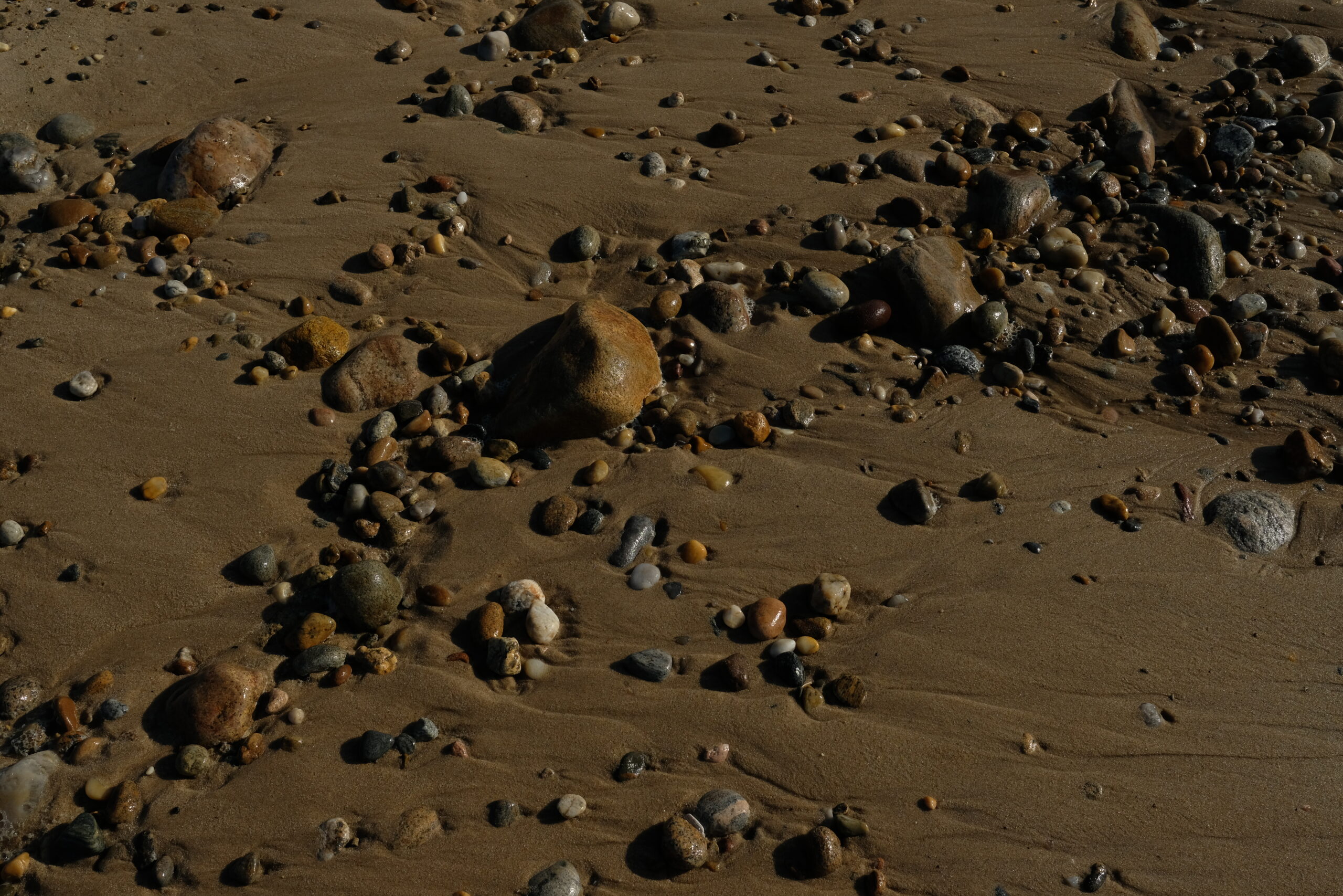 DSCF4732